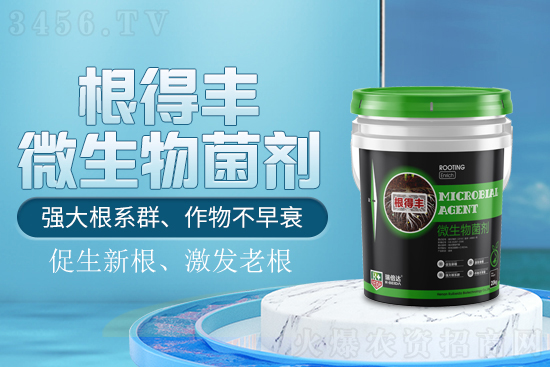 根得丰微生物菌剂!促生新根、激发老根,强大根系群、作物不早衰! 根得丰微生物菌剂!促生新根、激发老根,强大根系群、作物不早衰!